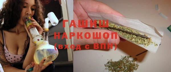 стаф Алзамай