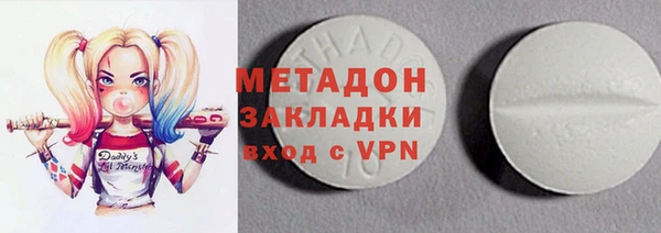 стаф Алзамай