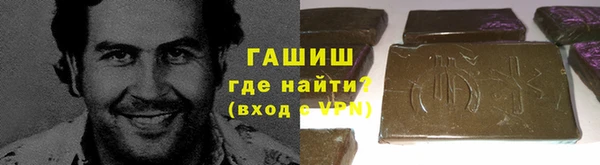 стаф Алзамай