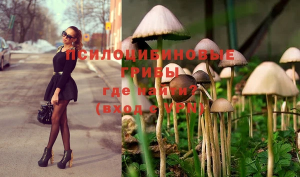 винт Алексеевка