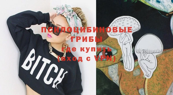 винт Алексеевка