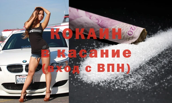 стаф Алзамай