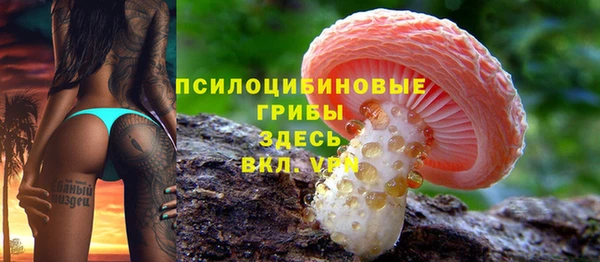 винт Алексеевка