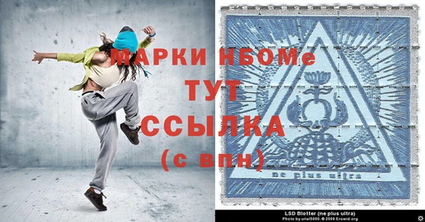стаф Алзамай