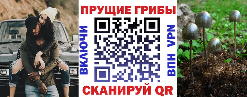 Галлюциногенные грибы Magic Shrooms  Волжский 